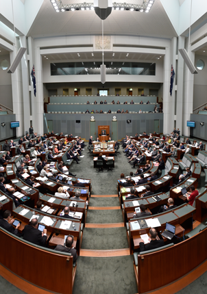 Parliament in action